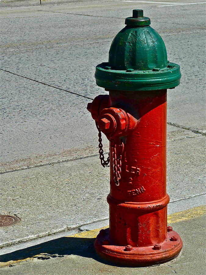 Old Fire Hydrant Photograph by Diana Hatcher