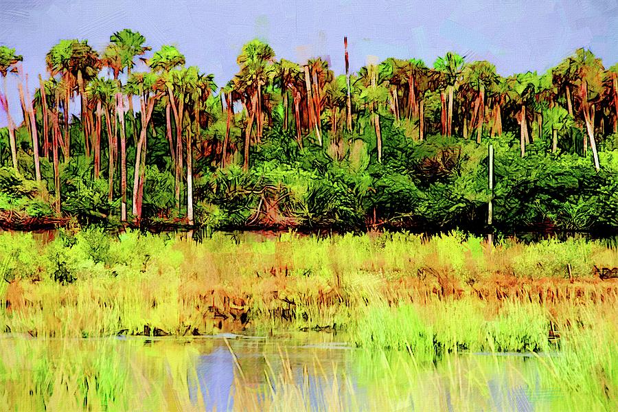 Old Florida Loop Palms Photograph by Alice Gipson