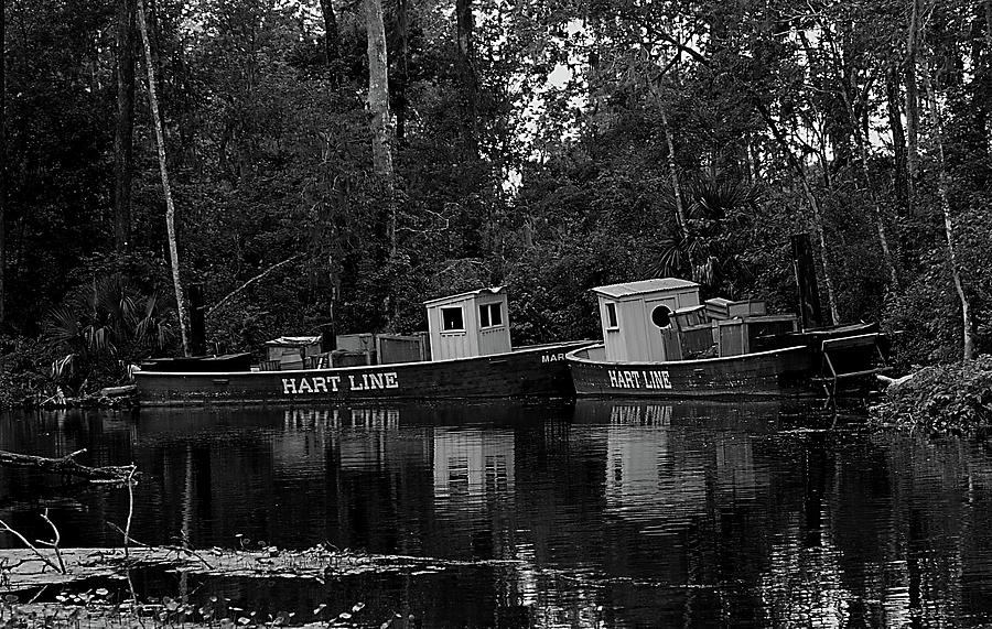 Old Florida Paddle Boats Photograph by Bob Johnson