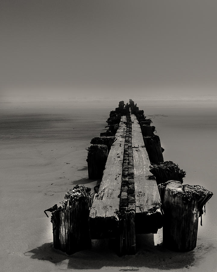 Old Folly Pier Photograph by Kevin Senter
