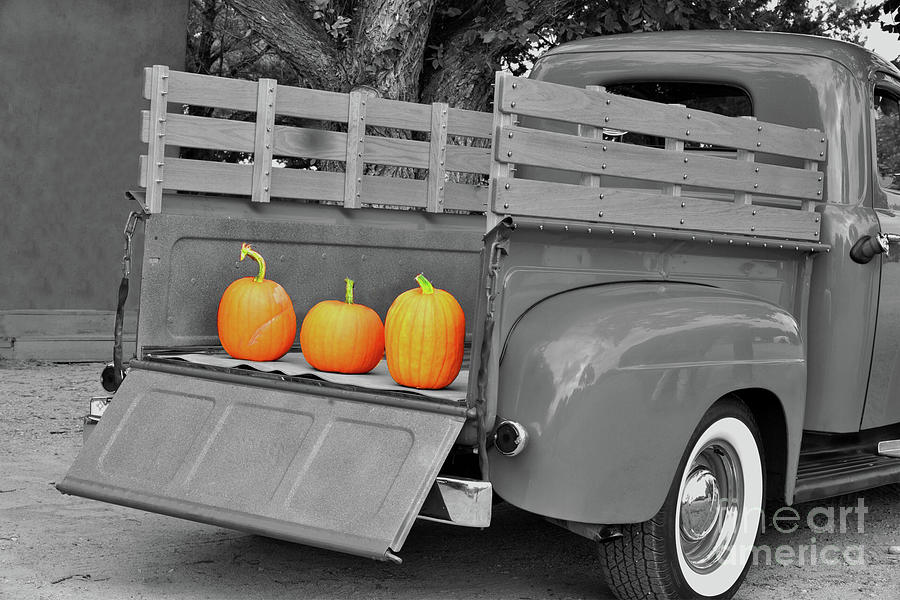 Old Ford Truck With Pumpkins Photograph by Barbara Milton
