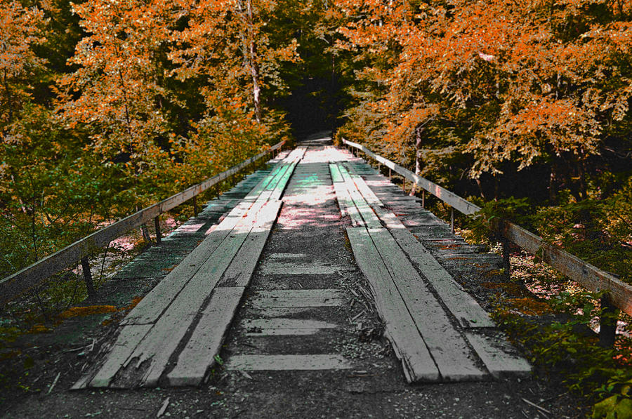 Old Forest Bridge Autumn Photograph by Stacie Siemsen