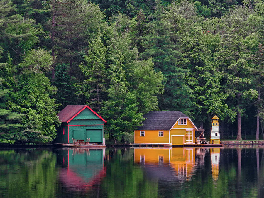 Old Pond Photograph by Anthony Narkon Fine Art America