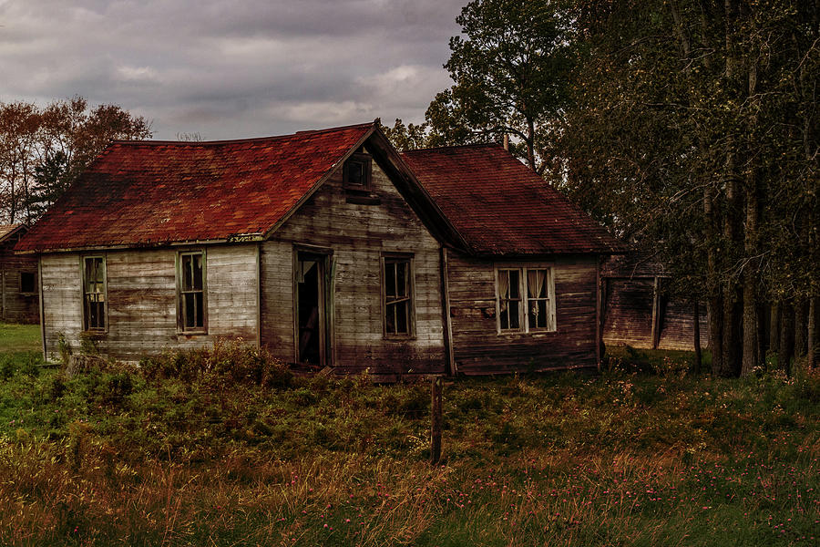 Old Forgotten Farmstead Photograph by Patti Deters