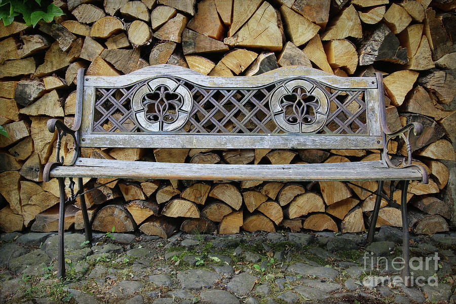 Old garden bench in front of chopped logs Photograph by Michal Boubin