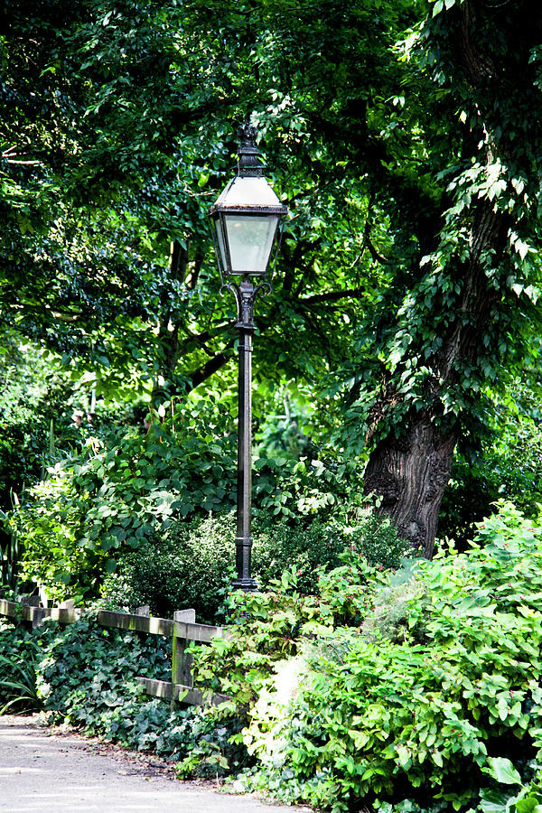 Old gas lamp post Photograph by Gavin Bates