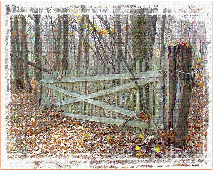 Old Gate Photograph by Randall Evans