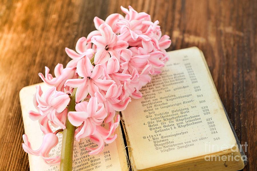 Old German Bible With Flowers Photograph by Nikki Vig