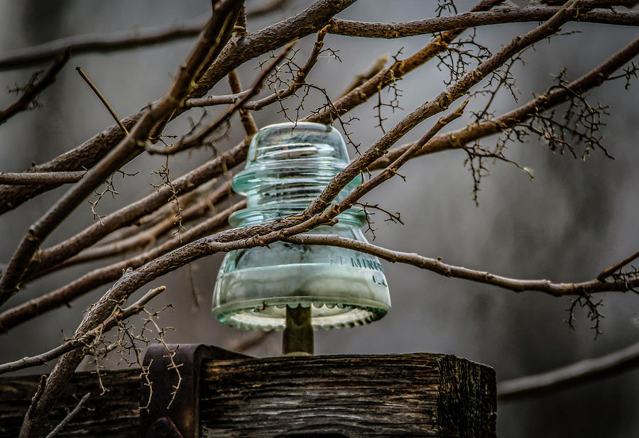 Old Glass Insulator Photograph by Ray Congrove