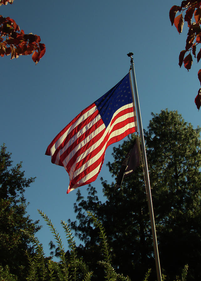 Old Glory 5x7 Photograph by Robert McCulloch - Fine Art America