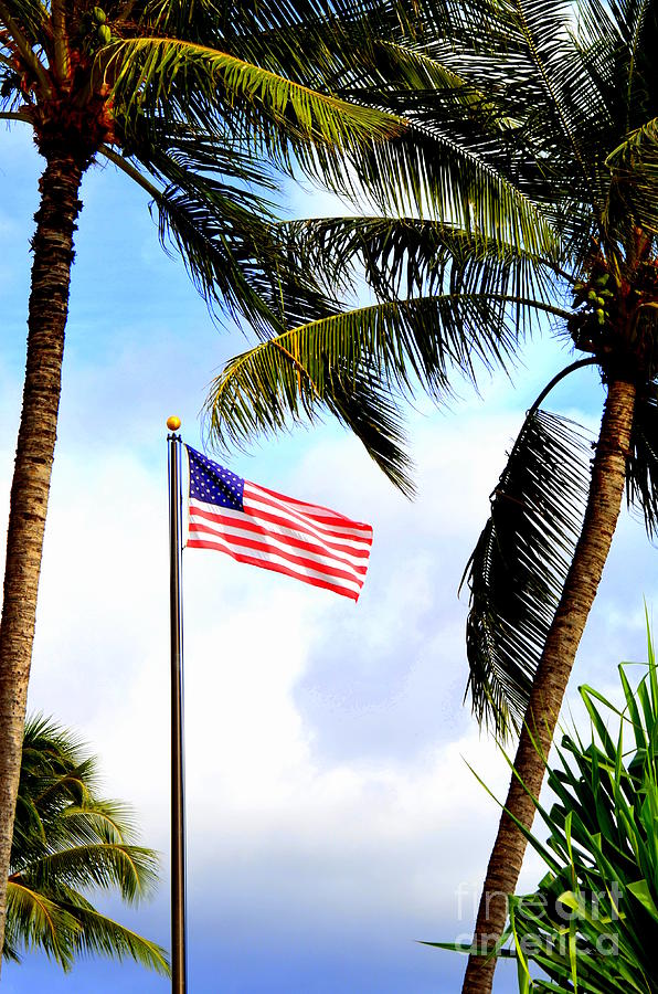 Old Glory Among the Palm Trees Photograph by Mary Deal