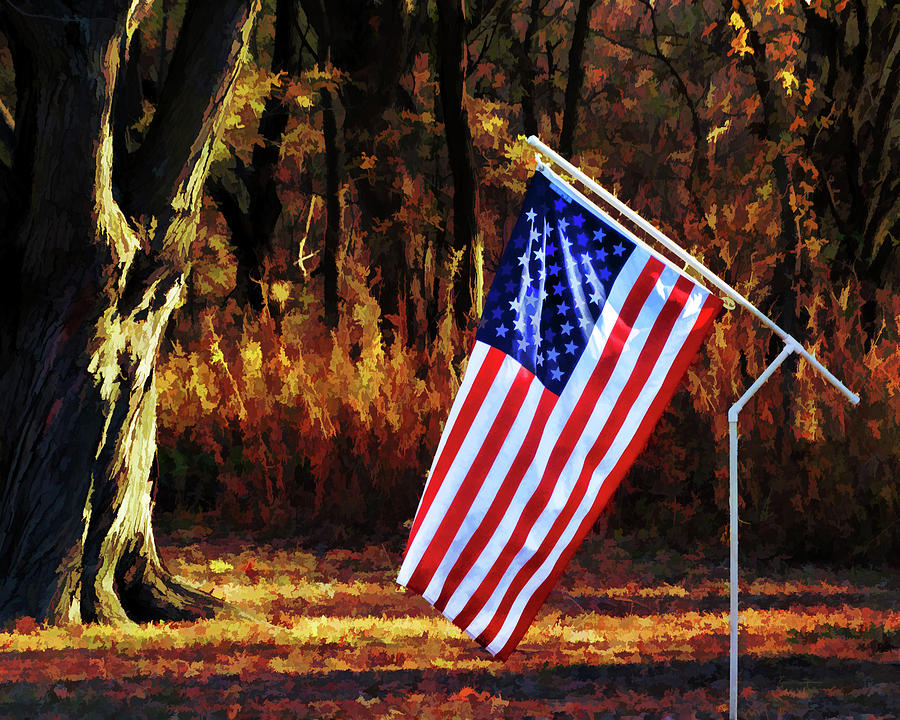 Old Glory  Photograph by Ann Powell