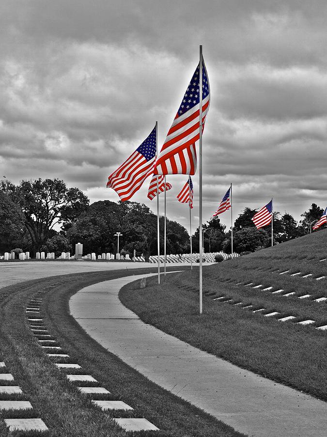 Old Glory Photograph by Dan Twomey