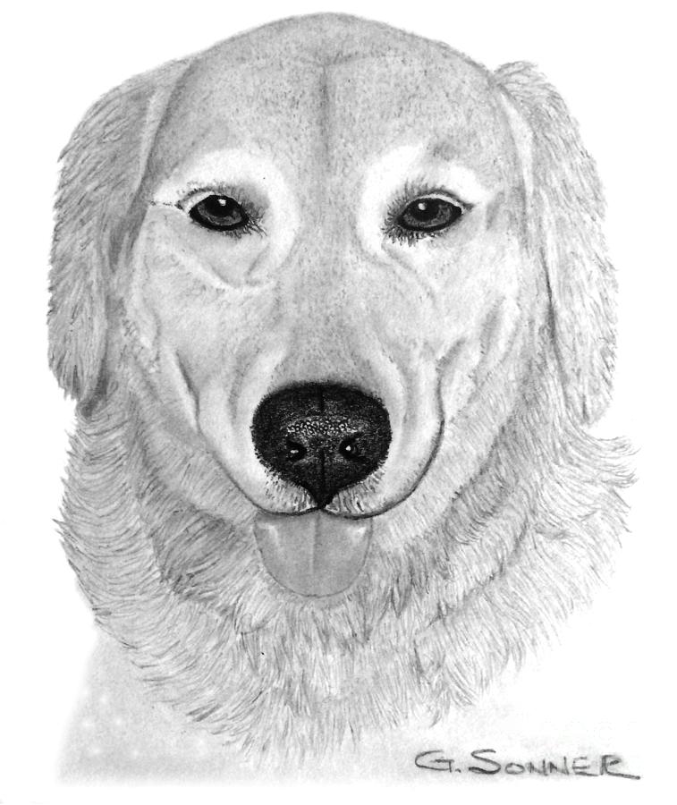 Old Golden Drawing by George Sonner
