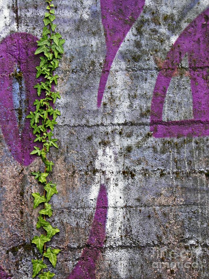 Graffiti Photograph - Old Graffiti by Sarah Loft