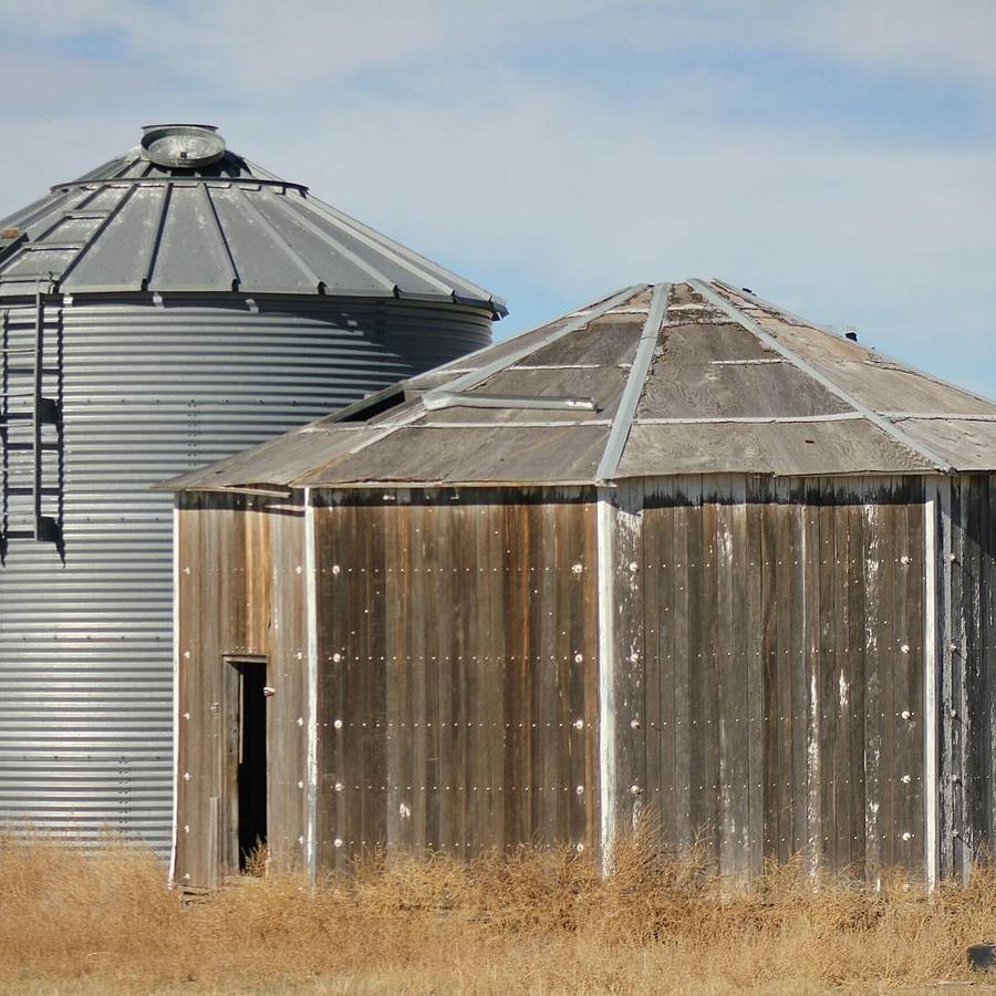 Old Grain bins Photograph by Pauline Motis