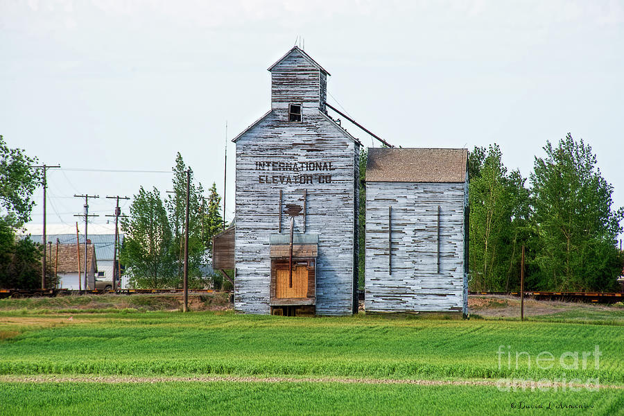 Old Grain Elevator Photograph by David Arment