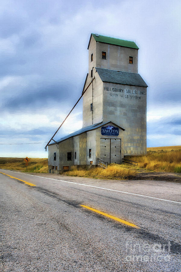 Old Grain Elevator In Idaho Photograph by Mel Steinhauer