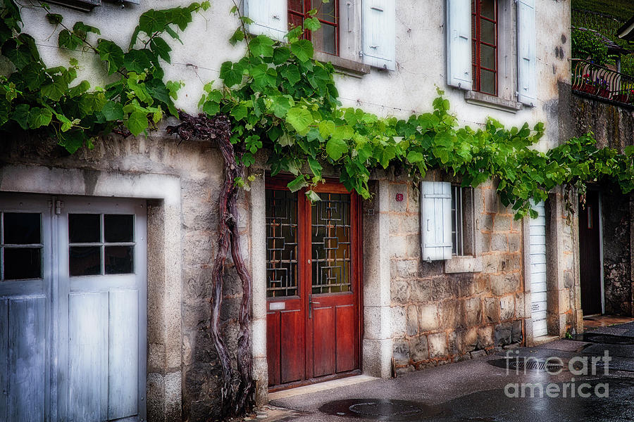 Old Grapevine on a Winery Building Photograph by George Oze - Fine Art ...