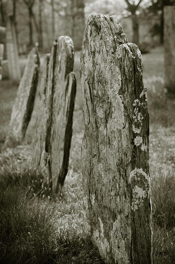 Old Gravestones I Photograph by David Gordon