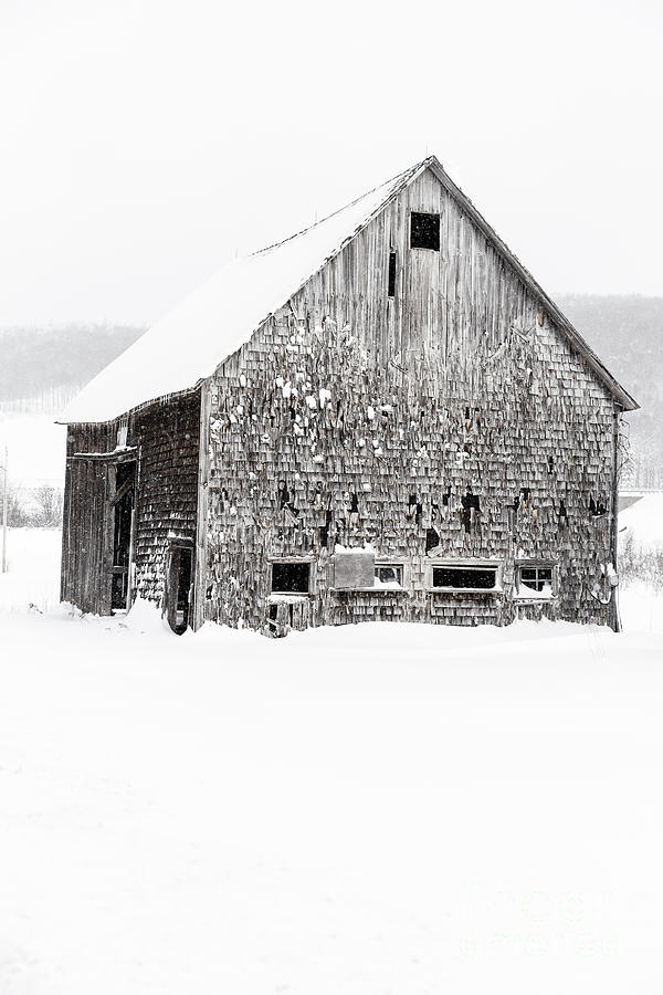 Old Gray Barn in a Snow Storm Grantham NH Photograph by Edward Fielding