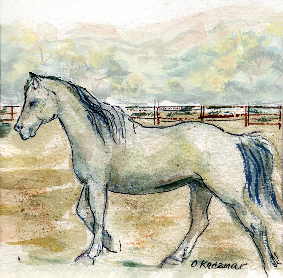 Horse Painting - Old Gray Mare by Olga Kaczmar