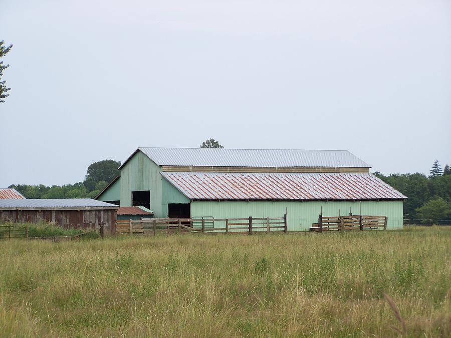 Barn Photograph - Old Green Barn    Washington State by Laurie Kidd