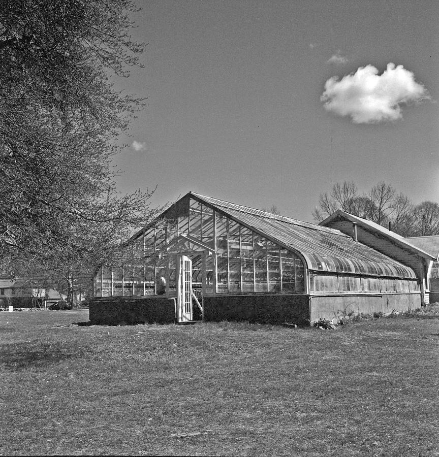 Old Greenhouse Photograph By Stephen Martinello Fine Art America   Old Greenhouse Stephen Martinello 