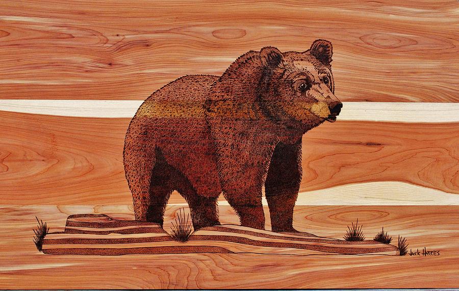 Old Griz Pyrography by Jack Harries