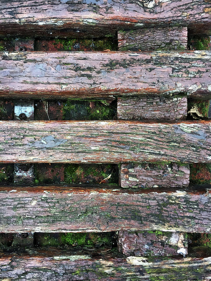 Abstract Photograph - Old grungy wood planks by Tom Gowanlock
