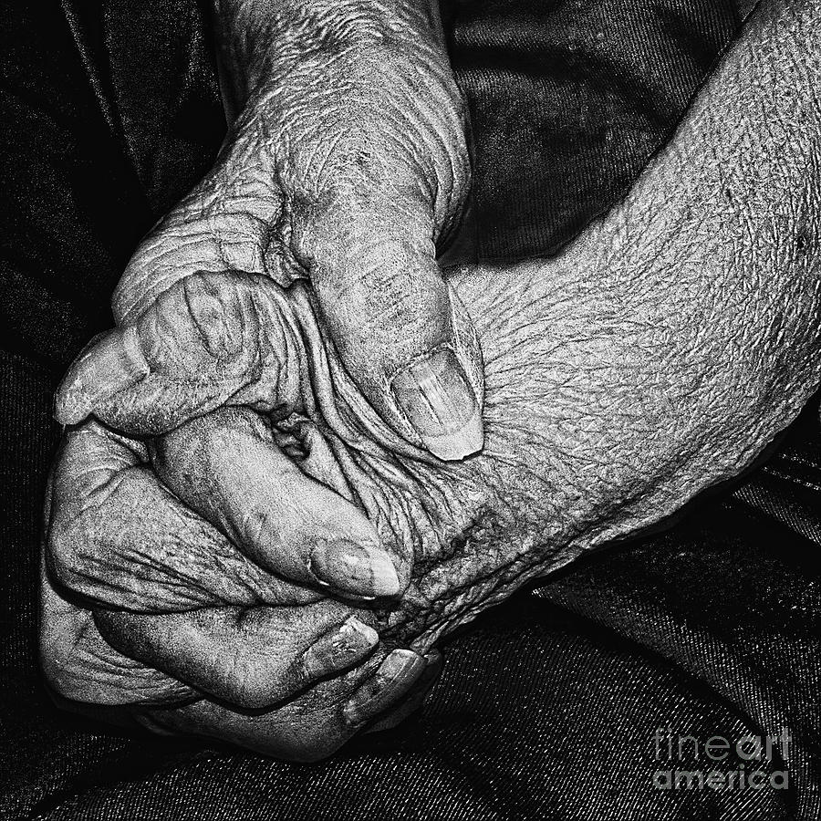 Old Hands Photograph by Tom Griffithe