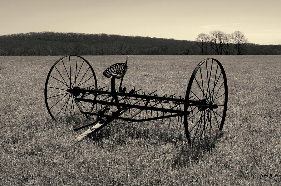 Old Hay Rake Toned Photograph by David Gordon