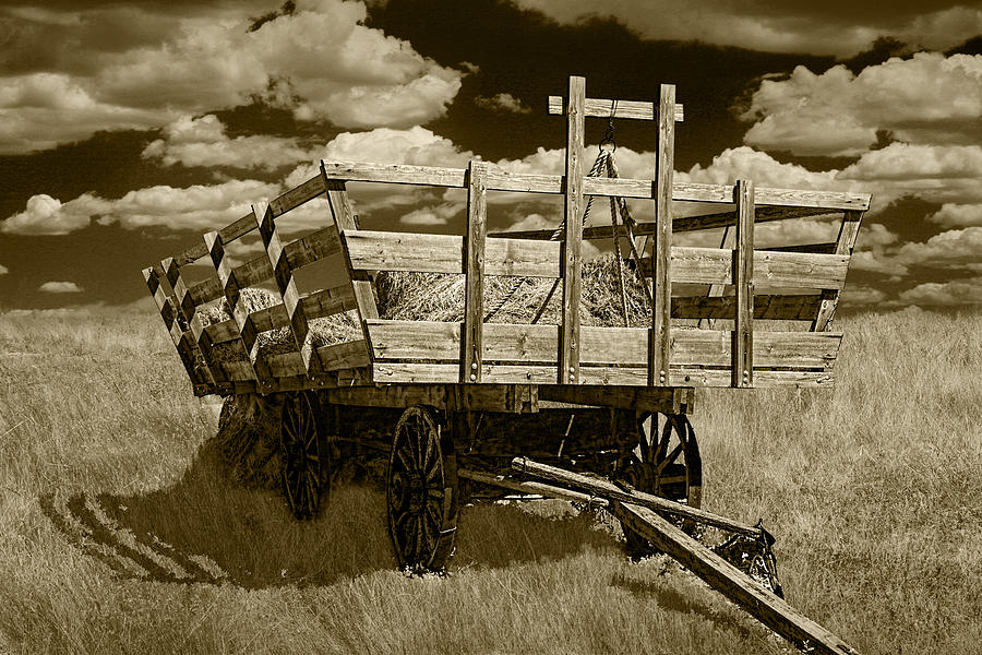 Vintage Photograph - Old Hay Wagon in Sepia by Randall Nyhof