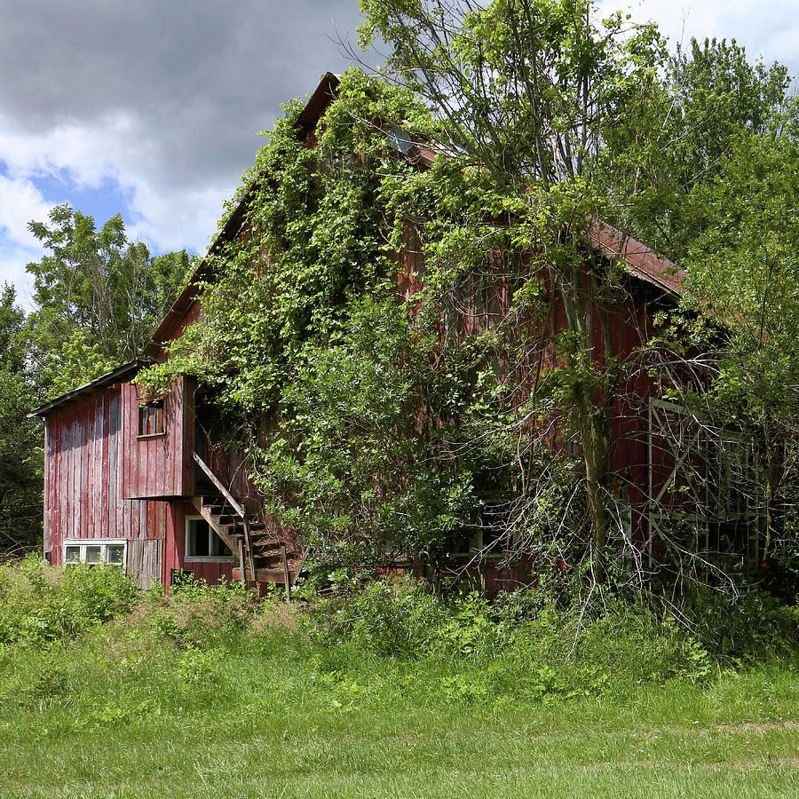 Old Herb Barn Photograph by Scott Kingery