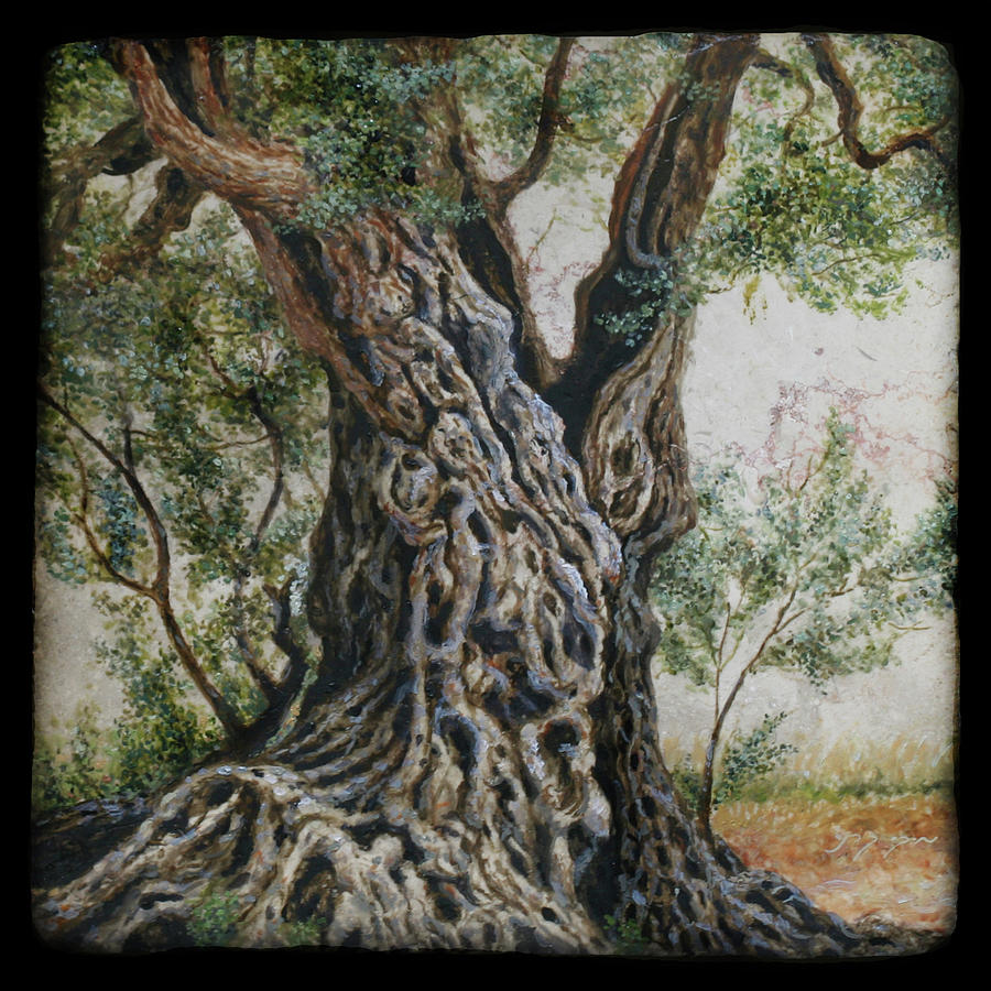 The old olive tree trunk. by Miki Karni Painting by Miki Karni