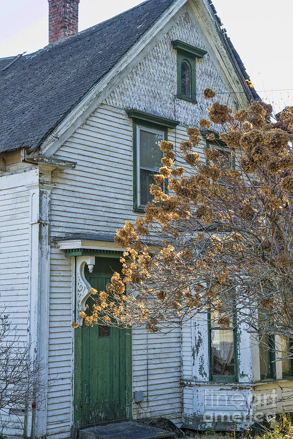 Old Home Photograph by Alana Ranney