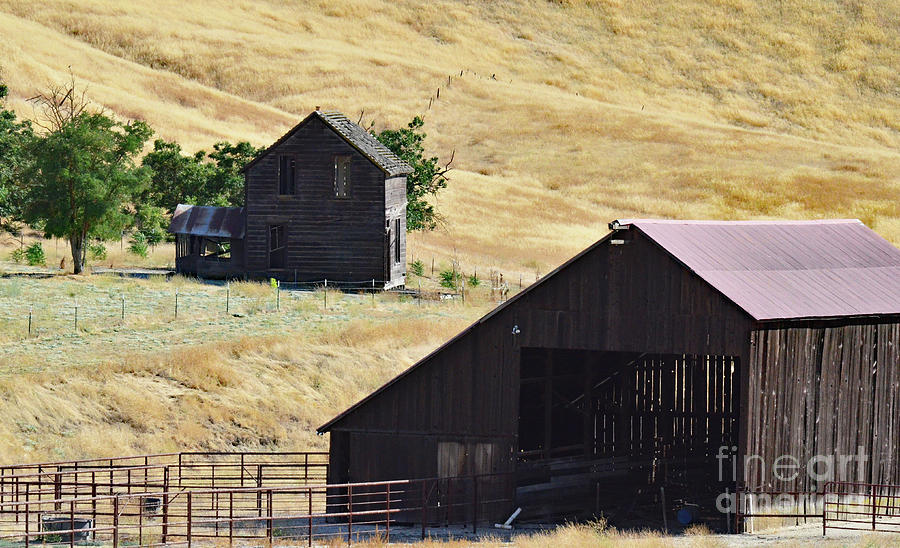 Old Homestead Barn Photograph by Debby Pueschel