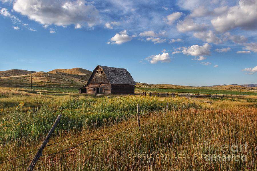 Old Homestead Photograph by Carrie Cathleen Photography - Fine Art America