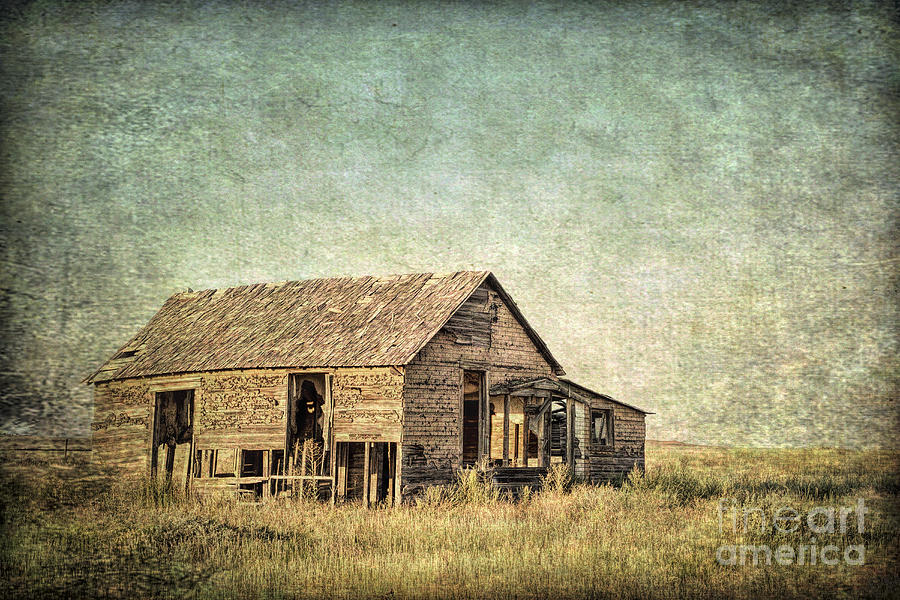 old homestead on Colorado prairie Photograph by Marek Uliasz