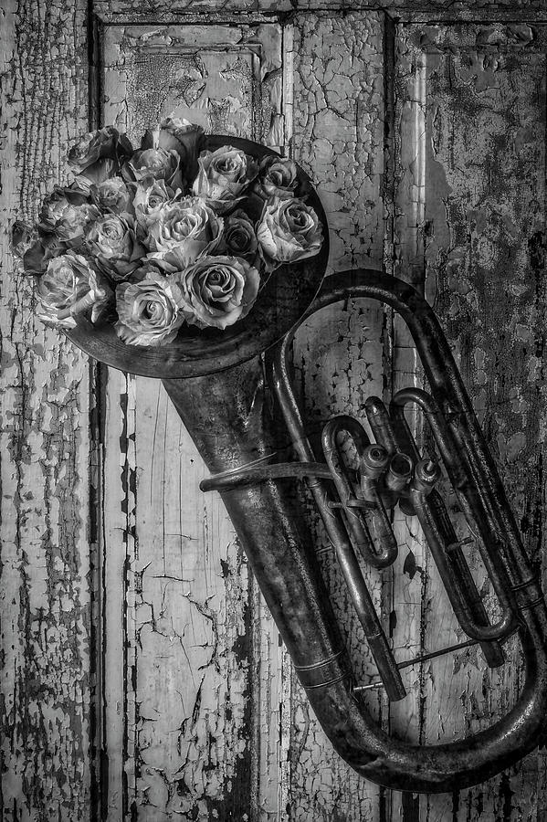 Old Horn And Roses On Door Black And White Photograph by Garry Gay