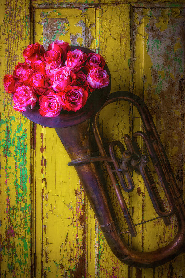 Old Horn And Roses On Door Photograph by Garry Gay