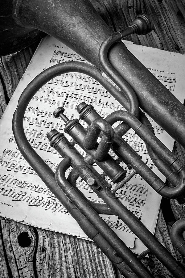 Old Horn And Sheet Music Photograph by Garry Gay