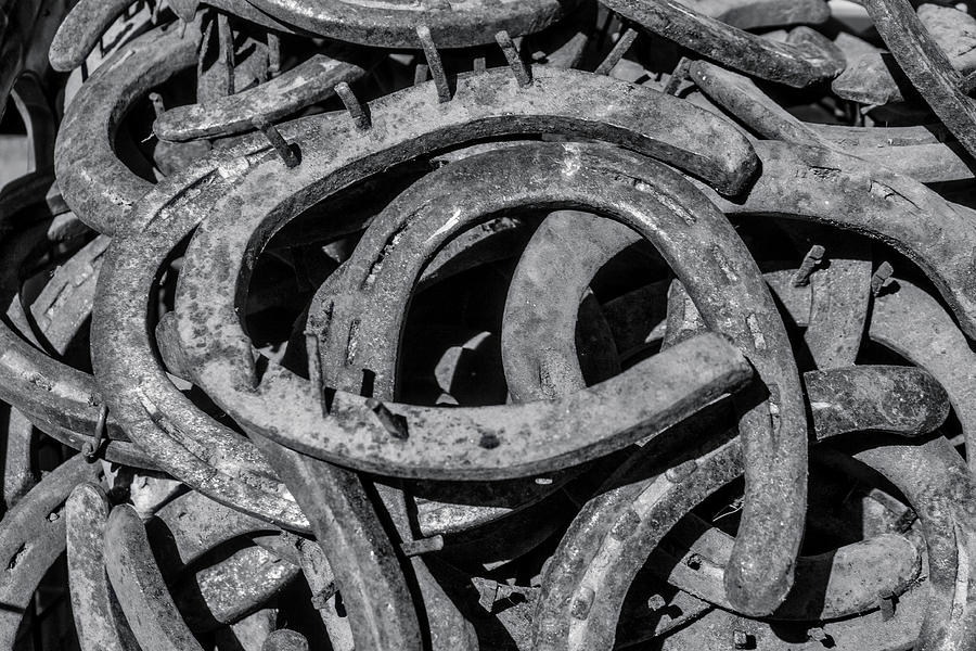 Old Horseshoes In Black And White Photograph by Garry Gay