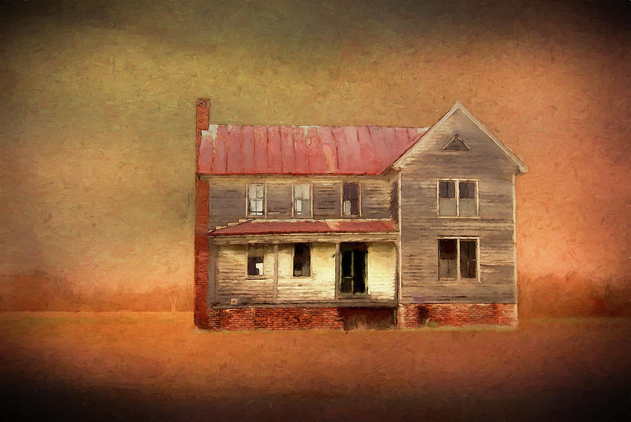 Old House 1 Digital Art by Terry Davis