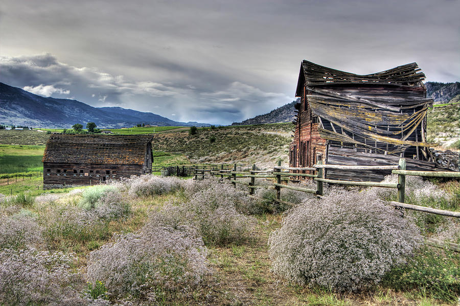 Old House and Barn Photograph by Doug Matthews