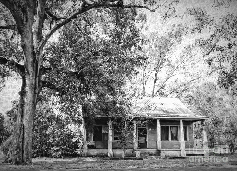 Cottage Photograph - Old House and Tree Donaldsonville LA ART by Kathleen K Parker