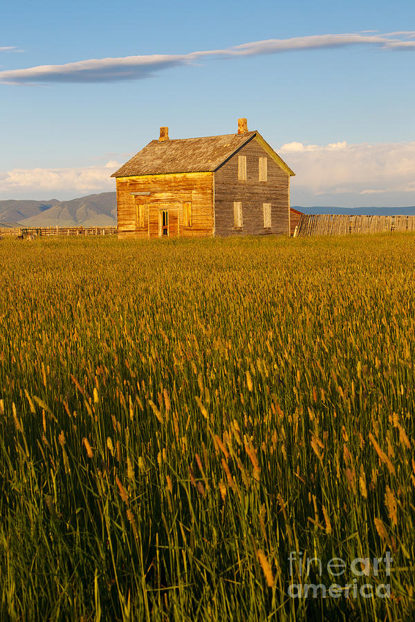 Old House On Prairie Photograph by Jim Zipp
