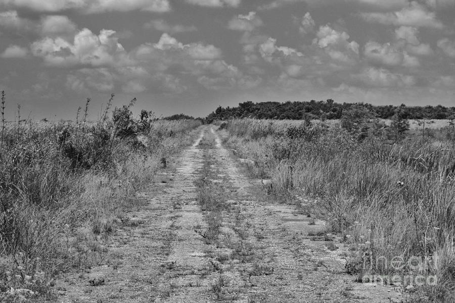 Old Ingraham Highway Photograph