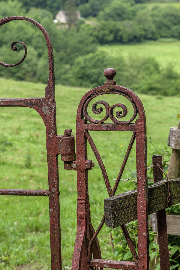 Old Iron Gate Photograph by W Chris Fooshee