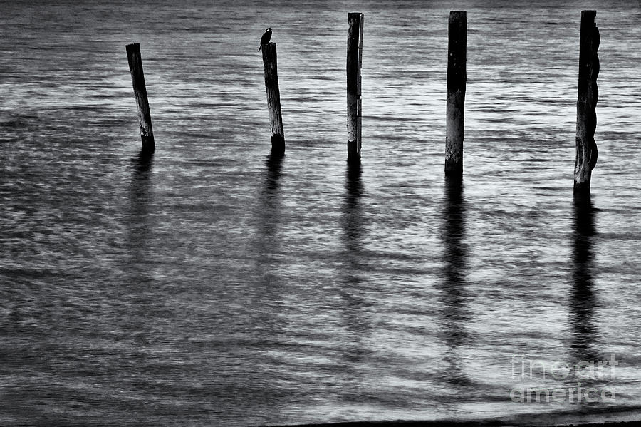 Old Jetty - s Photograph by Werner Padarin
